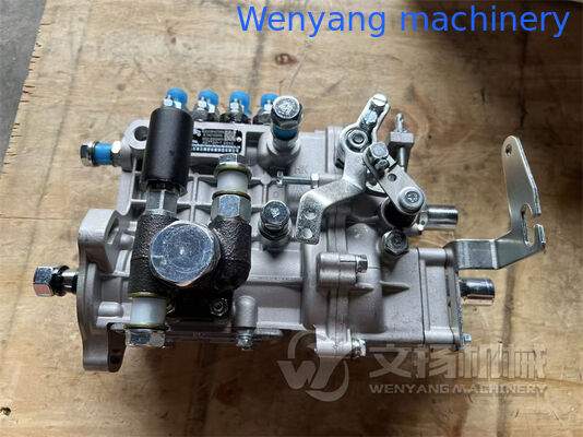 الصين A490BPG-21000 مضخة حقن وقود محرك Xinchai مزود
