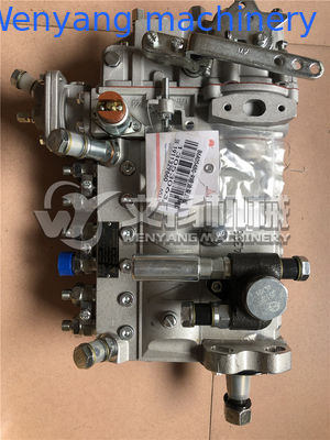 أجزاء احتياطية من محرك Weichai Deutz مضخة حقن المحرك 13030186 /13053063 المزود